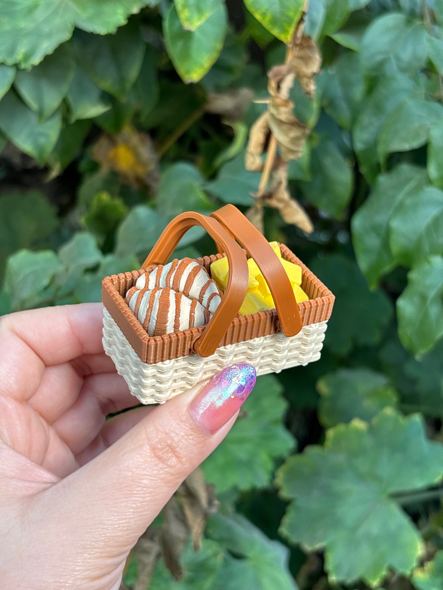 Mini Canasta Picnic