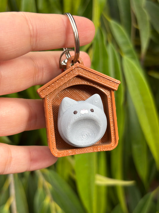 Casita de Gato
