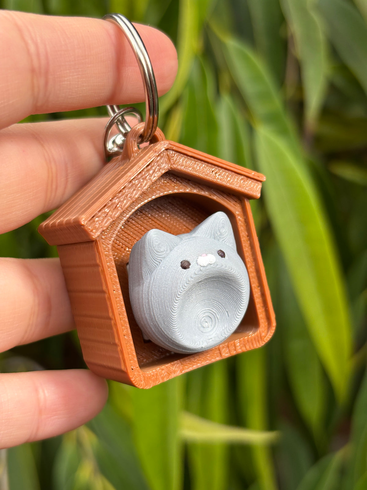 Casita de Gato