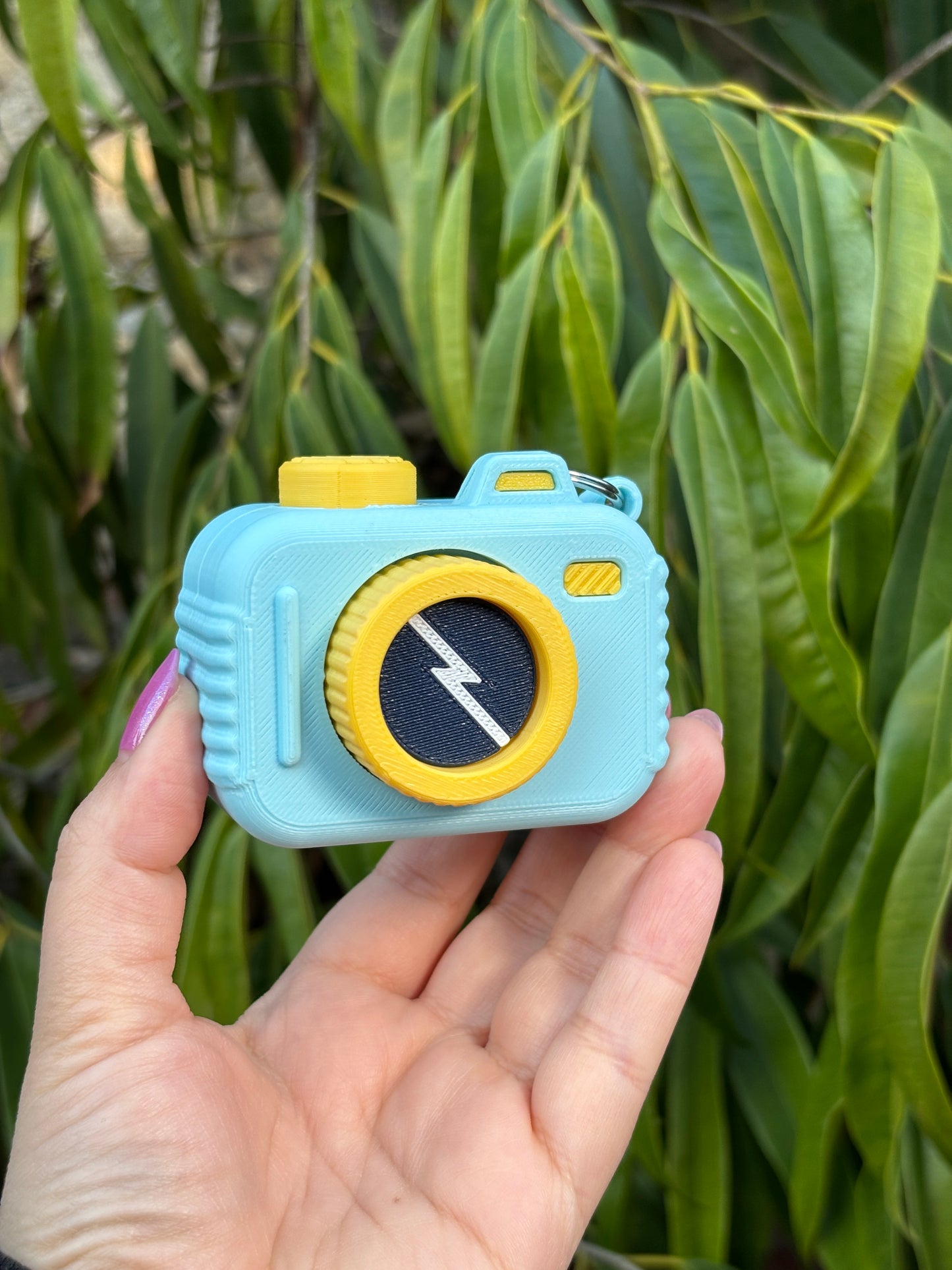 Camara Fidget grande