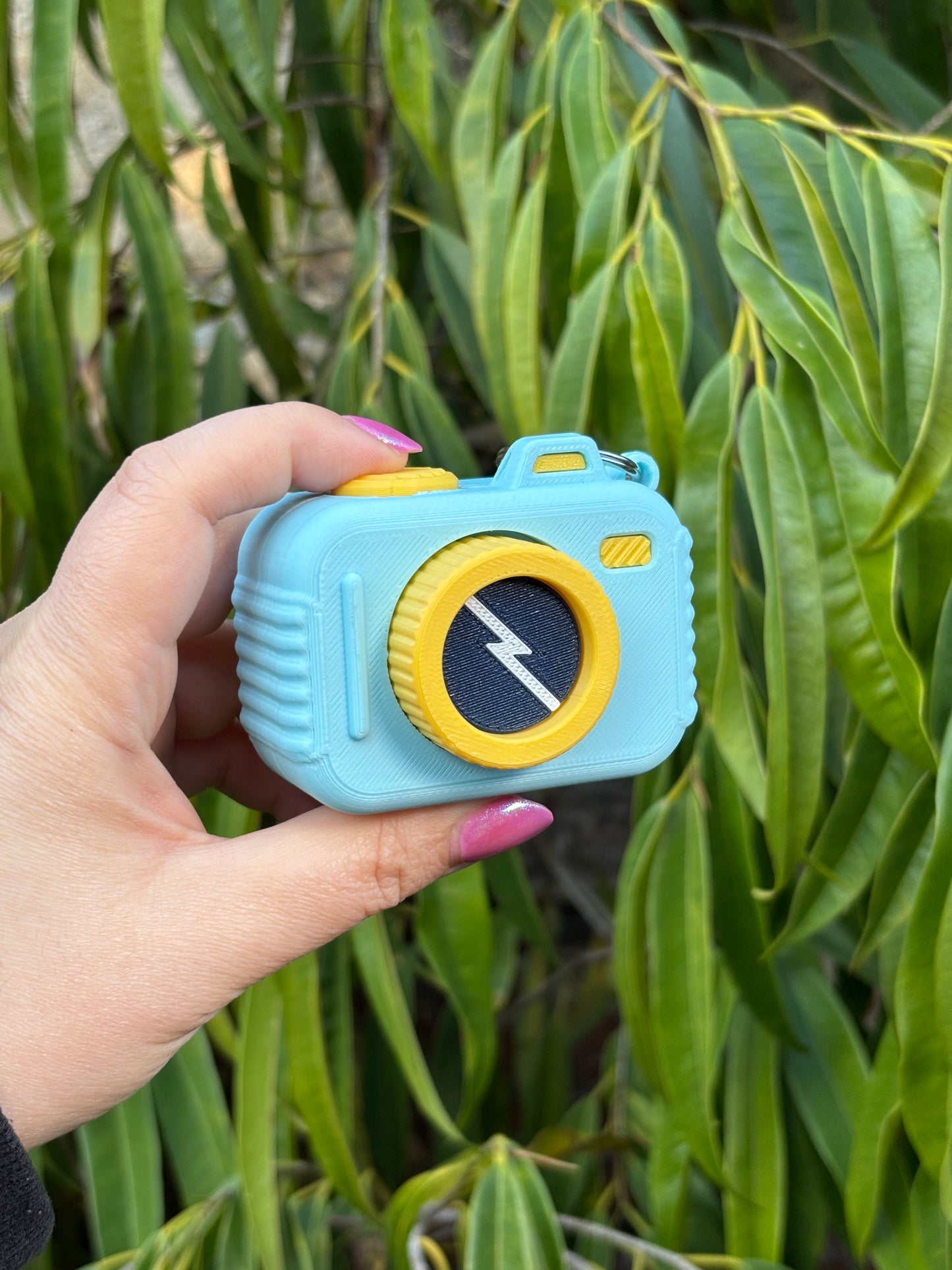 Camara Fidget grande